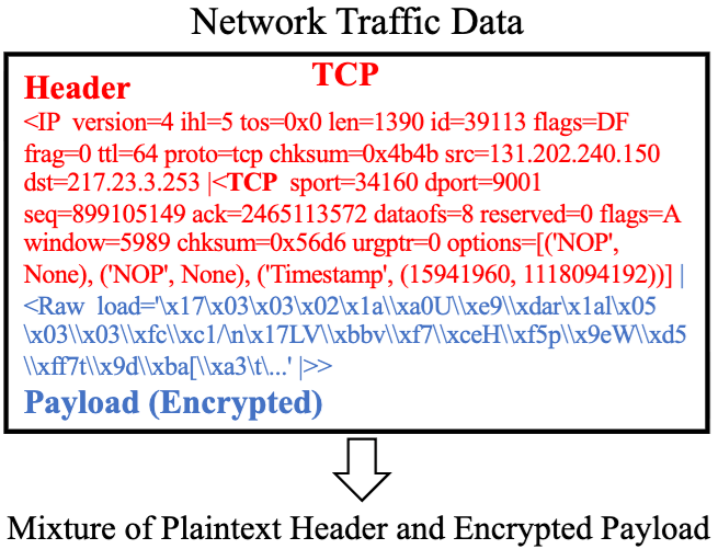 NetBench Dataset Overview